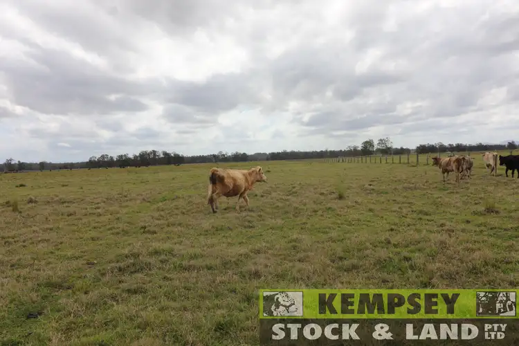 Sixth view of Homely rural property listing, Lot 2 Western Lane, Bellimbopinni NSW 2440