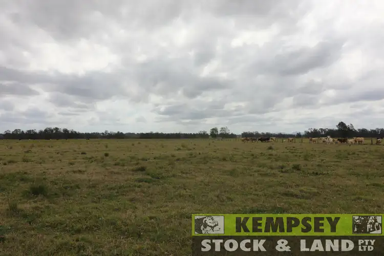 Seventh view of Homely rural property listing, Lot 2 Western Lane, Bellimbopinni NSW 2440