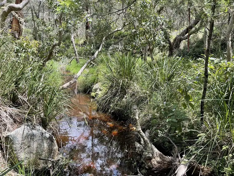 Second view of Homely land listing, Lot/631 Brown Gully Rd, Sugarloaf QLD 4380