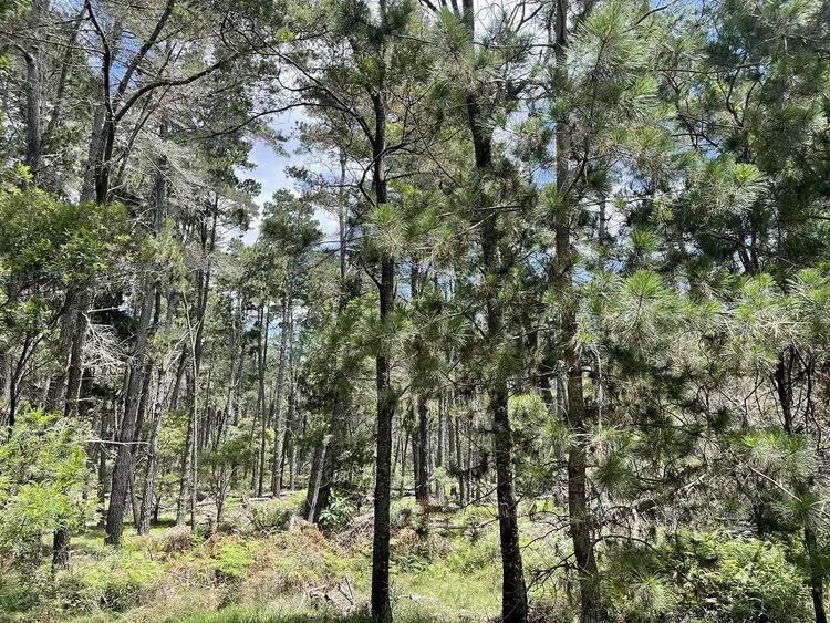 Third view of Homely land listing, Lot/631 Brown Gully Rd, Sugarloaf QLD 4380