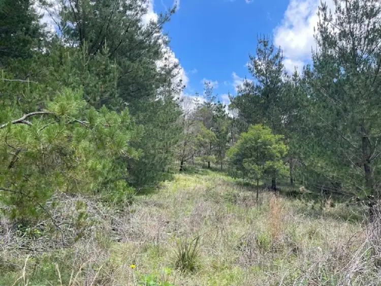 Fifth view of Homely land listing, Lot/631 Brown Gully Rd, Sugarloaf QLD 4380
