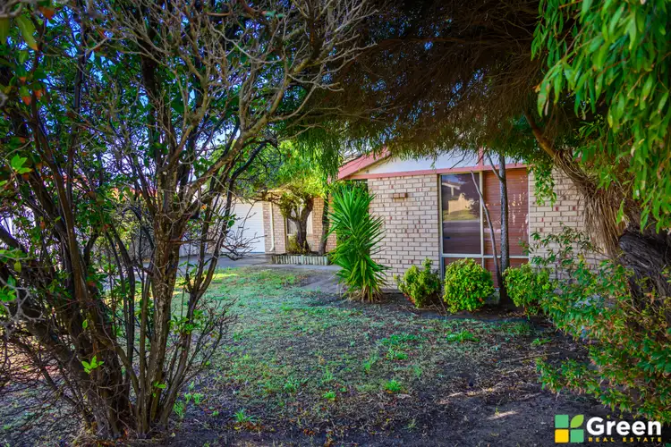 Second view of Homely house listing, 20 Woodbridge Dr, Cooloongup WA 6168