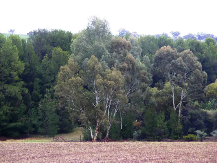 Second view of Homely land listing, 3 West Terrace, Wirrabara SA 5481