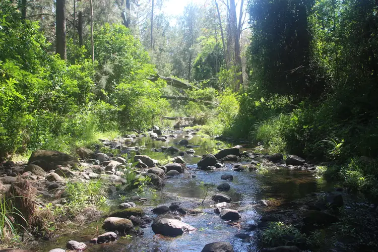 Main view of Homely rural property listing, 40 Bakers Rd, Mount Colliery QLD 4370