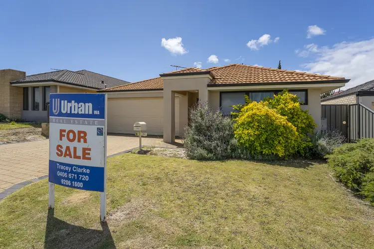 Main view of Homely house listing, 29 Grafton Rise, Baldivis WA 6171