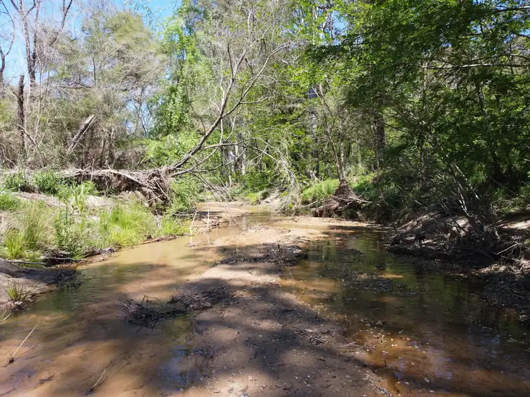 Fifth view of Homely rural property listing, 7601 Putty Rd, Putty NSW 2330