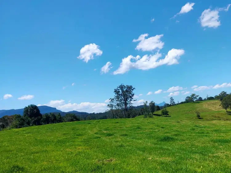 4743 Kyogle Road Wadeville, Kyogle NSW 2474