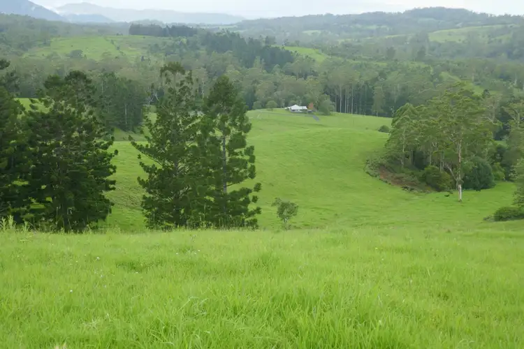 Second view of Homely rural property listing, 4753 Kyogle Road Wadeville, Kyogle NSW 2474