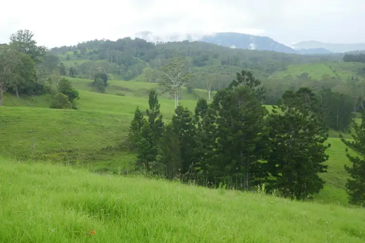 Third view of Homely rural property listing, 4753 Kyogle Road Wadeville, Kyogle NSW 2474