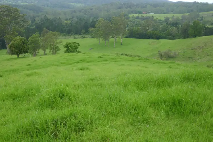 Fourth view of Homely rural property listing, 4753 Kyogle Road Wadeville, Kyogle NSW 2474