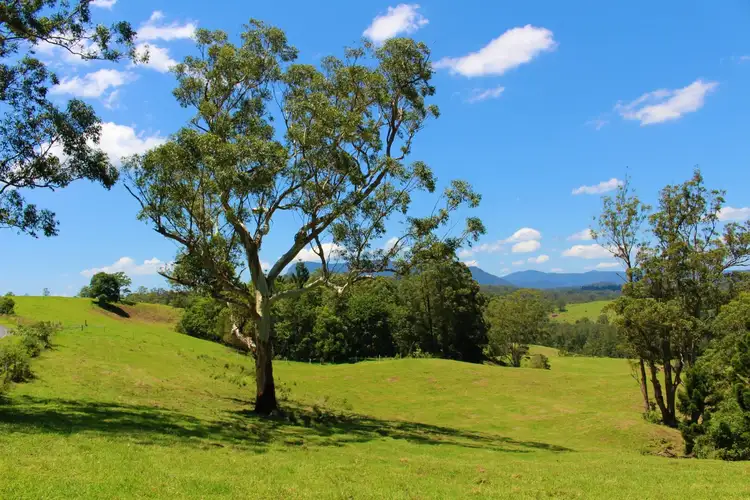 Fifth view of Homely rural property listing, 4753 Kyogle Road Wadeville, Kyogle NSW 2474