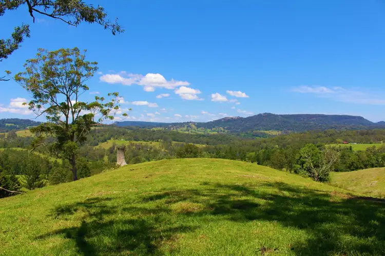 Sixth view of Homely rural property listing, 4753 Kyogle Road Wadeville, Kyogle NSW 2474