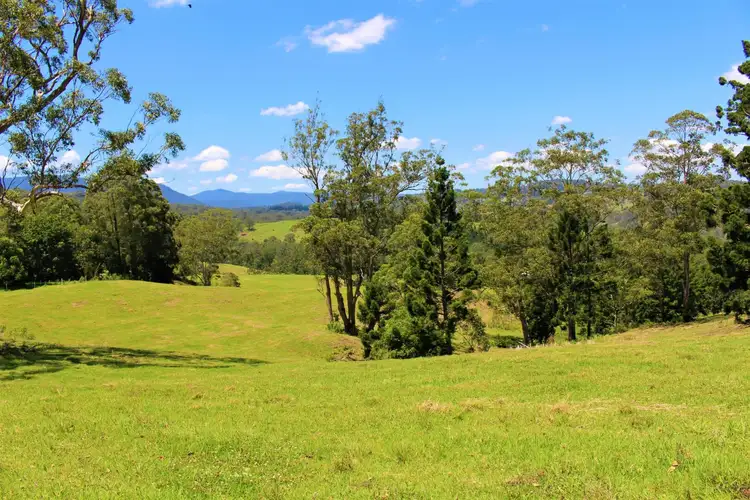 Seventh view of Homely rural property listing, 4753 Kyogle Road Wadeville, Kyogle NSW 2474