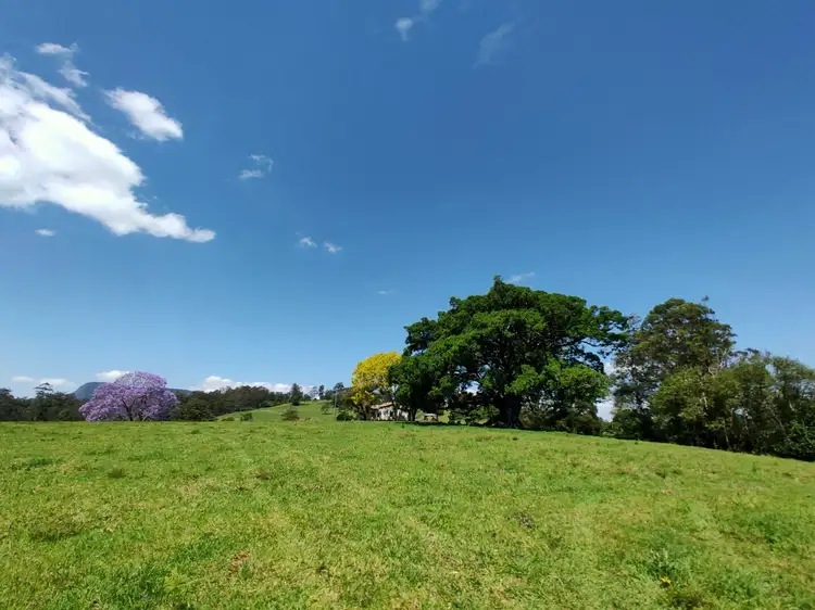 231 Old Tweed Road Wadeville, Kyogle NSW 2474