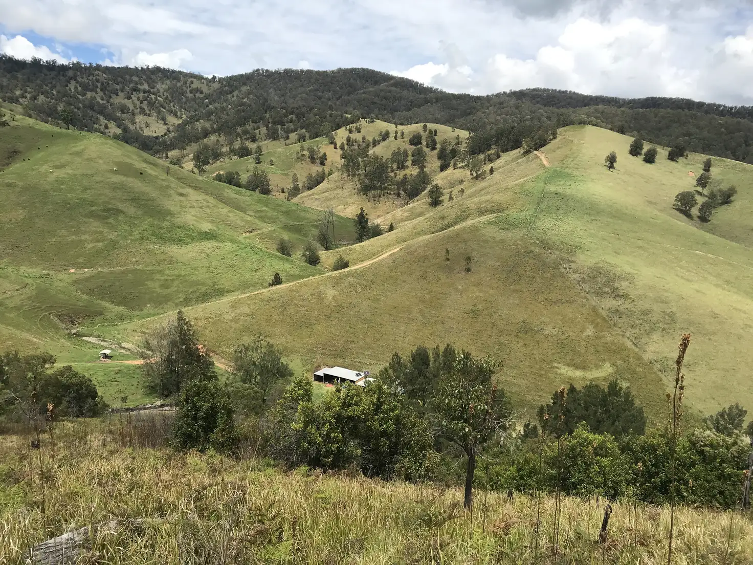 Main view of Homely rural property listing, * Owens Trail, Cobark NSW 2422