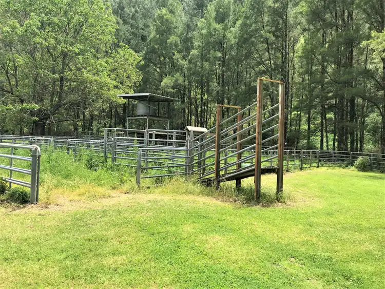 Third view of Homely rural property listing, * Owens Trail, Cobark NSW 2422