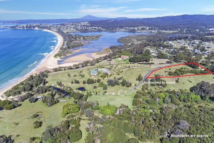 Main view of Homely land listing, Lot 711 Manuka Lane, Eden NSW 2551