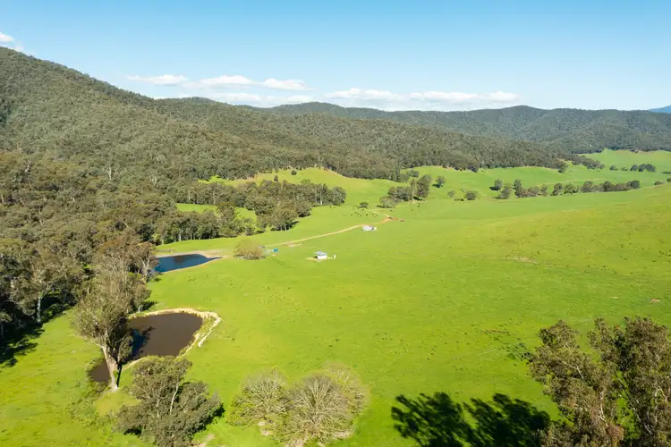 Second view of Homely rural property listing, 'The Selection' Rousseaus Road, Tallangatta Valley VIC 3701