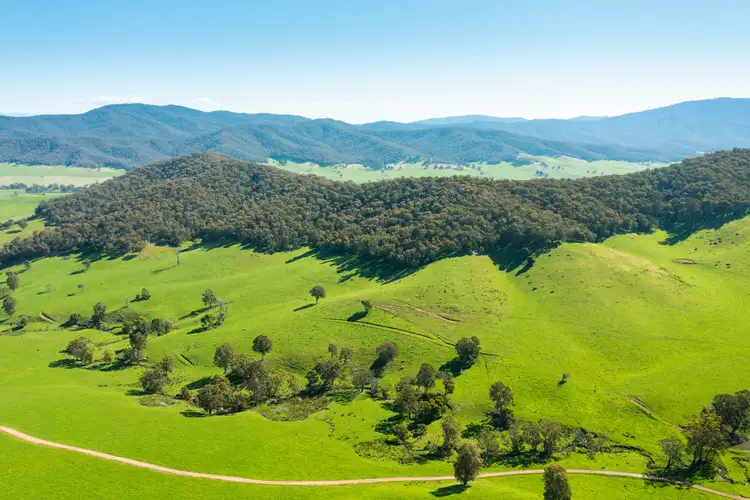 Third view of Homely rural property listing, 'The Selection' Rousseaus Road, Tallangatta Valley VIC 3701
