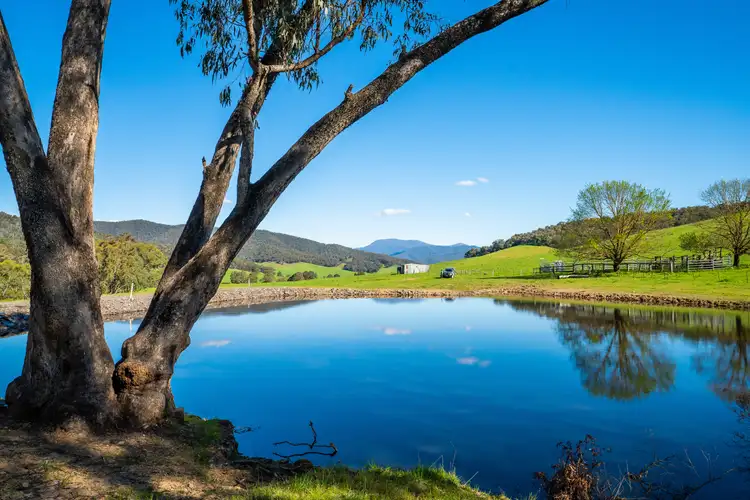 Fourth view of Homely rural property listing, 'The Selection' Rousseaus Road, Tallangatta Valley VIC 3701