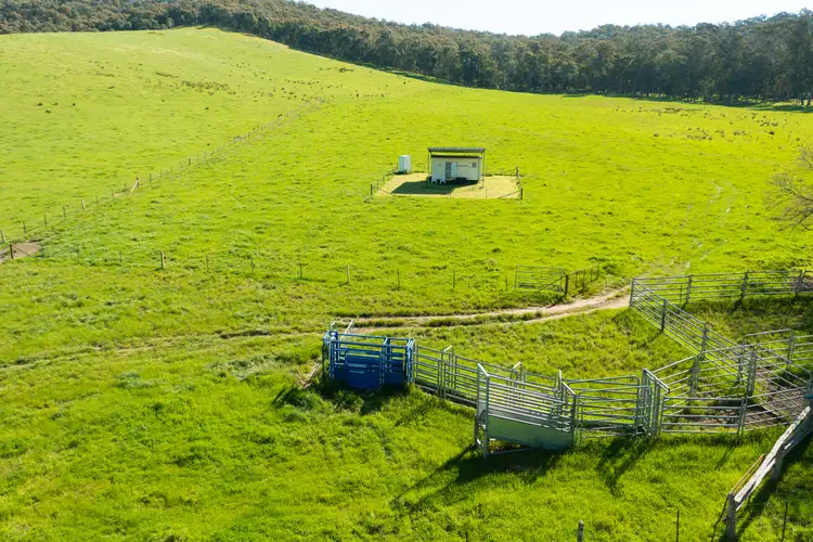 Sixth view of Homely rural property listing, 'The Selection' Rousseaus Road, Tallangatta Valley VIC 3701