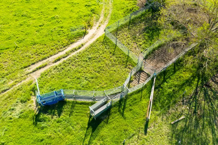 Seventh view of Homely rural property listing, 'The Selection' Rousseaus Road, Tallangatta Valley VIC 3701