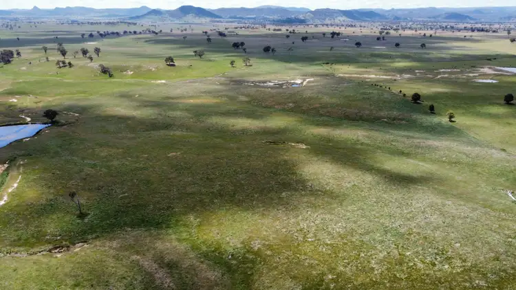 Third view of Homely rural property listing, 79 Bowles Lane, Rylstone NSW 2849
