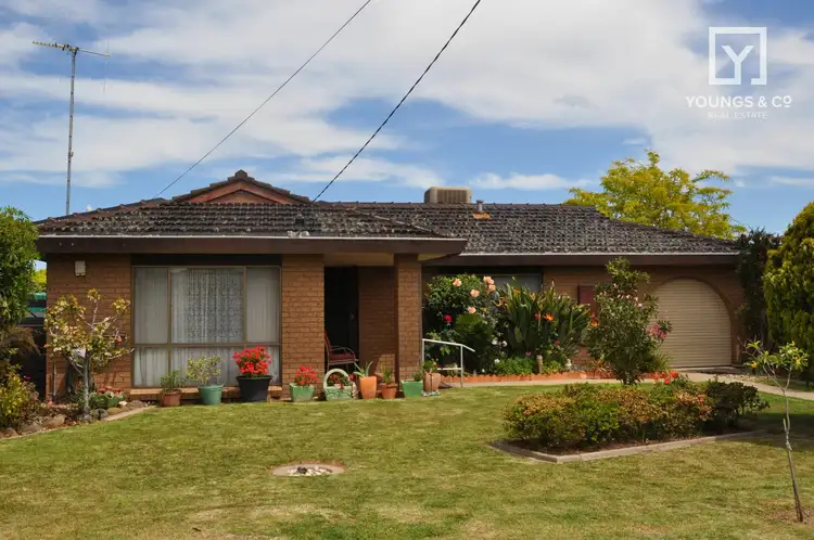 Main view of Homely house listing, 10 Hillier St, Shepparton VIC 3630