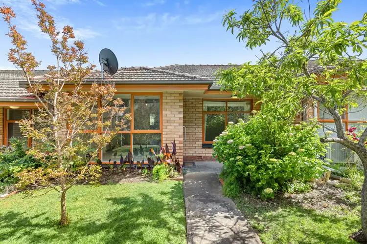 Main view of Homely unit listing, Unit 3/3 Beatty St, Linden Park SA 5065