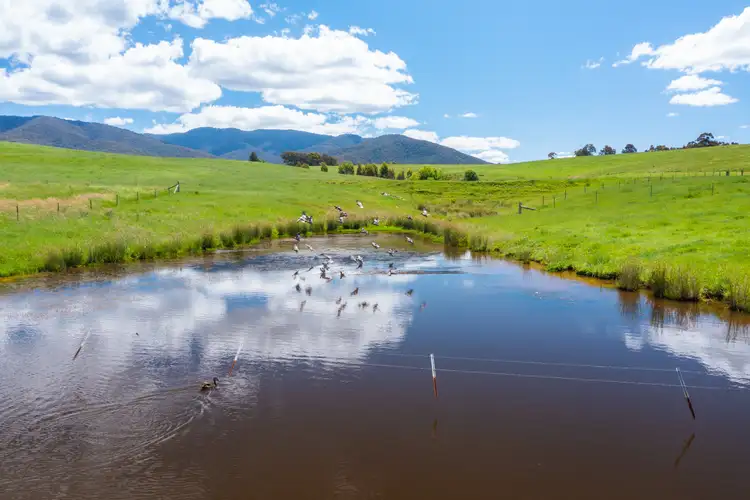 Sixth view of Homely rural property listing, 2254 Kiewa Valley Highway, Dederang VIC 3691