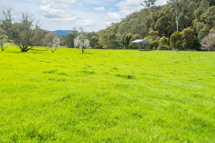 Sixth view of Homely rural property listing, 'Gervasonis'/1170 Little Snowy Creek Rd, Eskdale VIC 3701