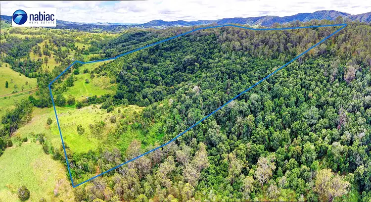 Second view of Homely rural property listing, 444 Mimi Creek Rd, Krambach NSW 2429