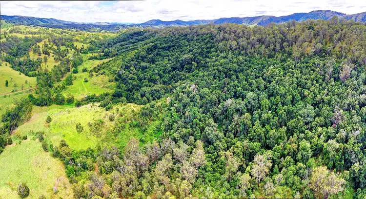 Third view of Homely rural property listing, 444 Mimi Creek Rd, Krambach NSW 2429
