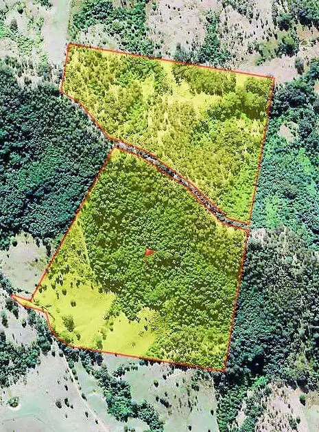 Fourth view of Homely rural property listing, 444 Mimi Creek Rd, Krambach NSW 2429