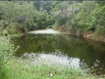 Seventh view of Homely rural property listing, 444 Mimi Creek Rd, Krambach NSW 2429