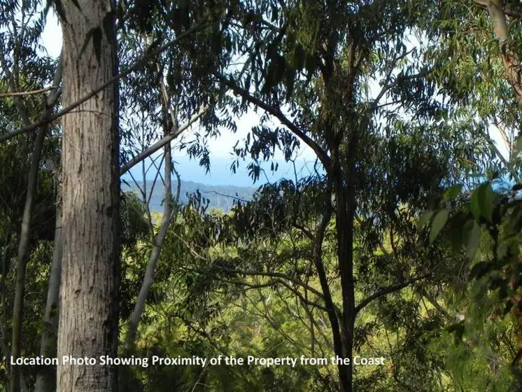Fourth view of Homely rural property listing, 650 Bostock Road, Tucabia NSW 2462