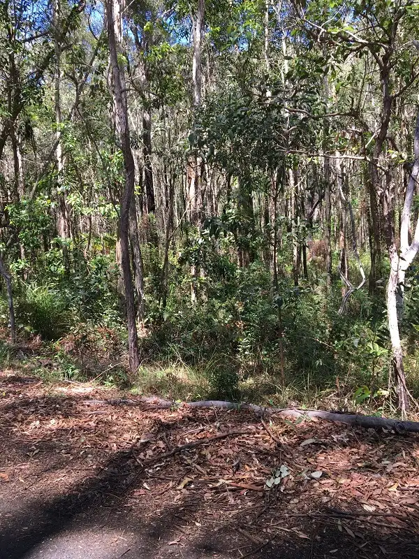 Main view of Homely land listing, 22 Borrows St, Russell Island QLD 4184