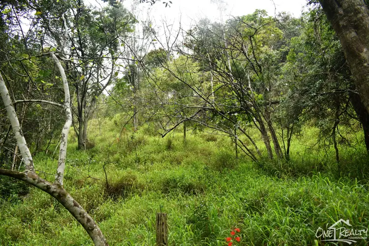 Main view of Homely land listing, Lot 184 Mountain Rd, Bauple QLD 4650