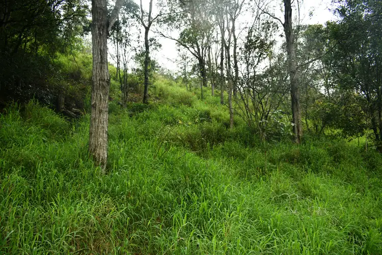 Third view of Homely land listing, Lot 184 Mountain Rd, Bauple QLD 4650