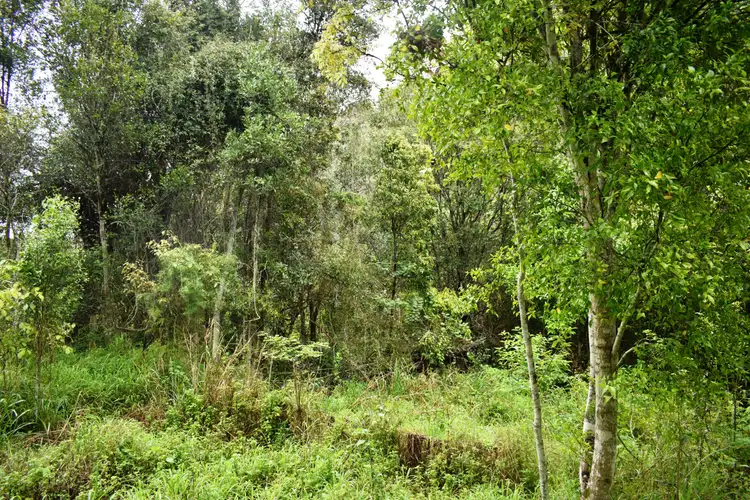 Fifth view of Homely land listing, Lot 184 Mountain Rd, Bauple QLD 4650