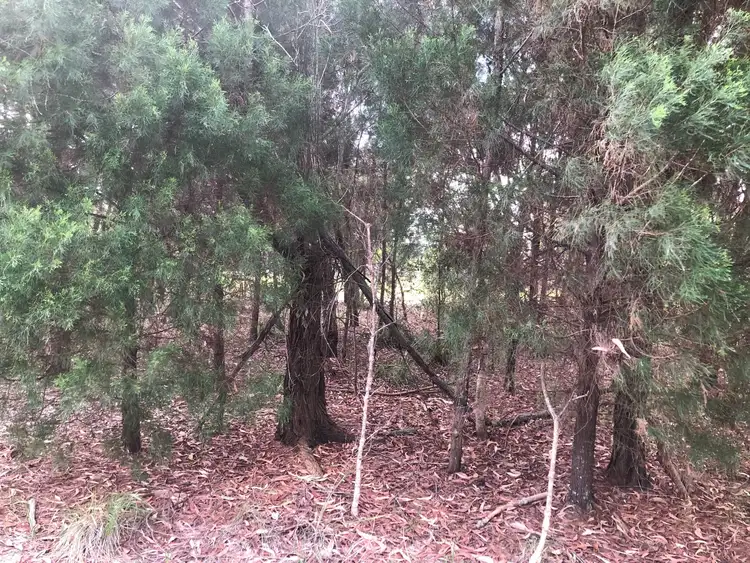 Fourth view of Homely land listing, 8 Arthur St, Macleay Island QLD 4184
