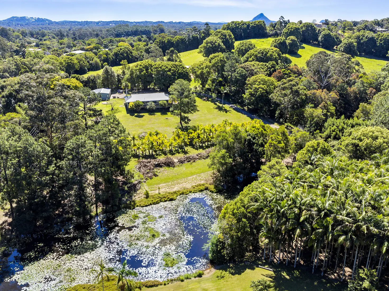 Main view of Homely house listing, 9 Pine Tree Dr, Lake Macdonald QLD 4563