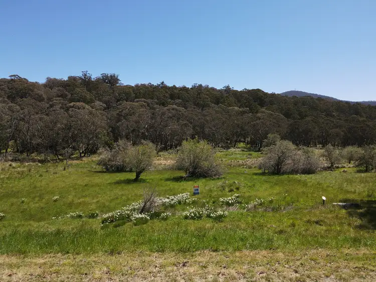 Main view of Homely land listing, 23-25 Dowling St, Bendoc VIC 3888