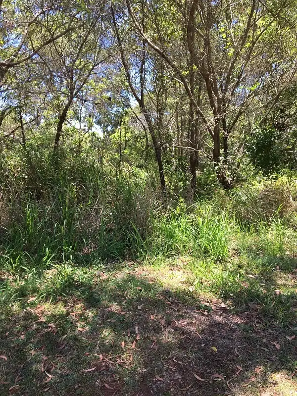 Main view of Homely land listing, 8 Bilbungra St, Russell Island QLD 4184