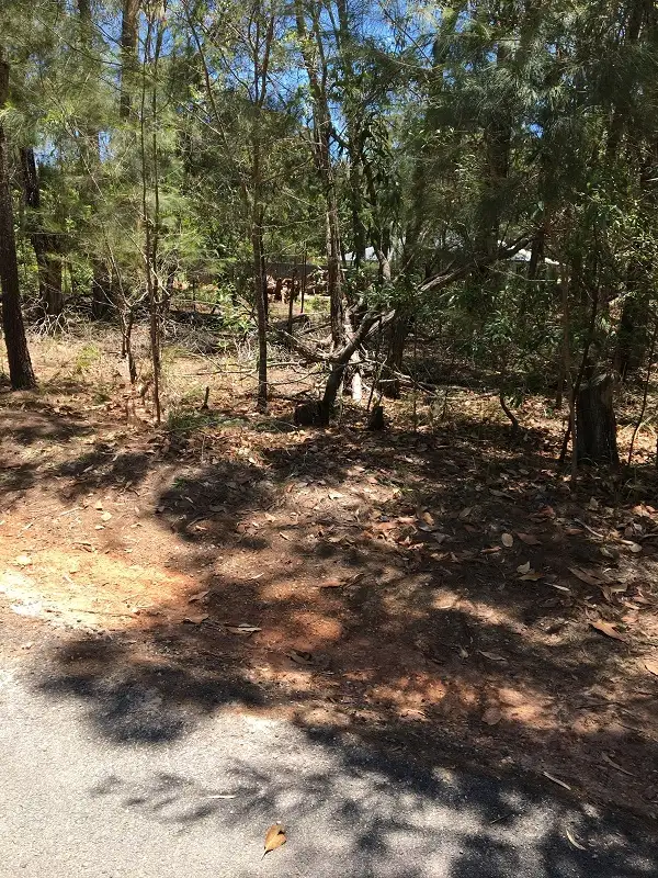 Main view of Homely land listing, 19 Villa Wood Rd, Russell Island QLD 4184
