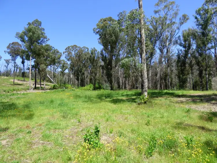 Third view of Homely rural property listing, Lot 10 Nullica Short Cut Road, Boydtown Via, Eden NSW 2551