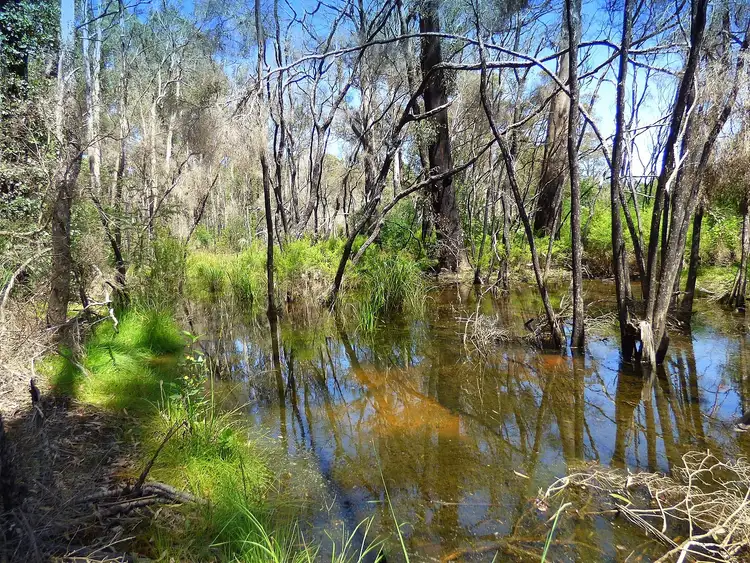 Fourth view of Homely rural property listing, Lot 10 Nullica Short Cut Road, Boydtown Via, Eden NSW 2551
