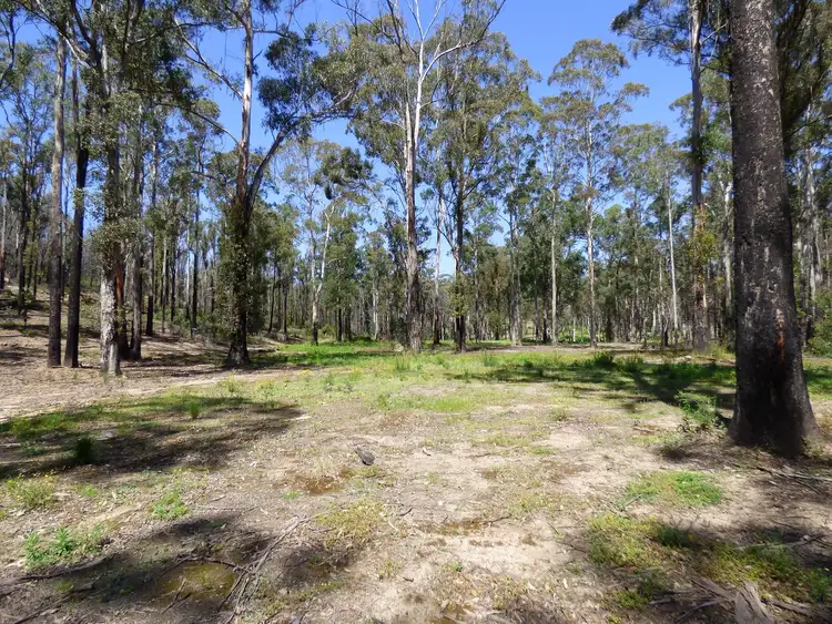 Sixth view of Homely rural property listing, Lot 10 Nullica Short Cut Road, Boydtown Via, Eden NSW 2551