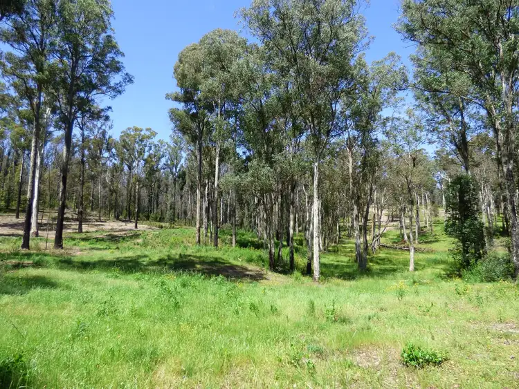 Seventh view of Homely rural property listing, Lot 10 Nullica Short Cut Road, Boydtown Via, Eden NSW 2551