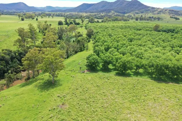 Second view of Homely rural property listing, 139 Homestead Road, Kyogle NSW 2474